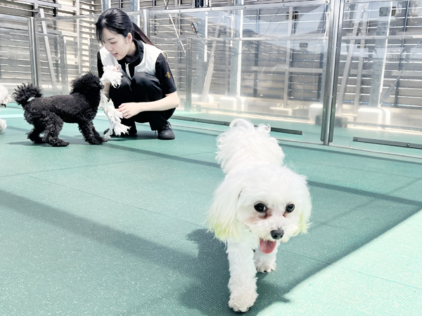 Ｗａｎ活のお散歩！